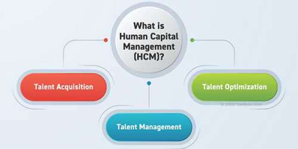 Human Capital Management Market Size, Share | Industry Growth [2032]