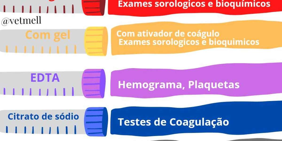 Fosfatasa alcalina alta en perros Significado y cómo bajarla