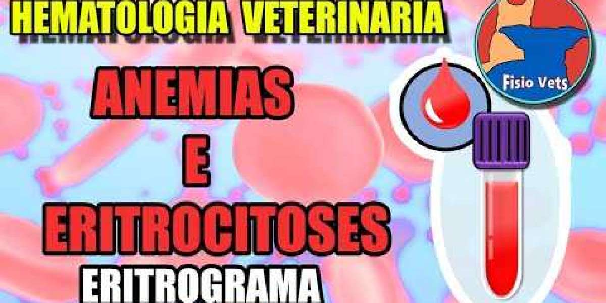 Descubra Como a Sorologia Veterinária Revoluciona o Diagnóstico e Cuidados com Animais