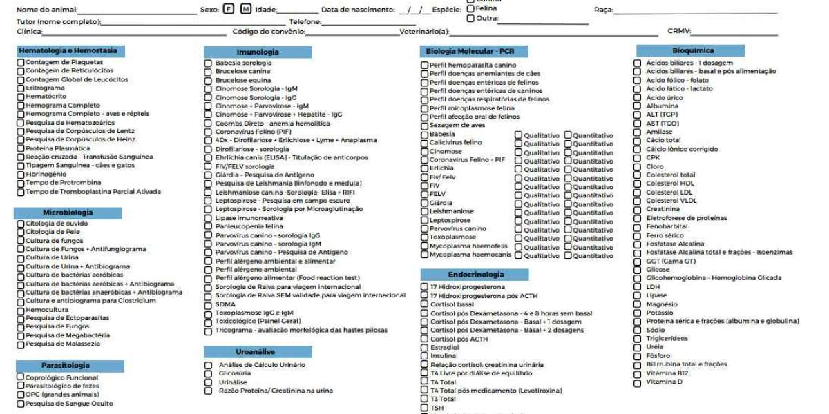 Ecocardiografía Servicio de cardiología veterinaria móvil. ECG, Ecocardiogramas y más.