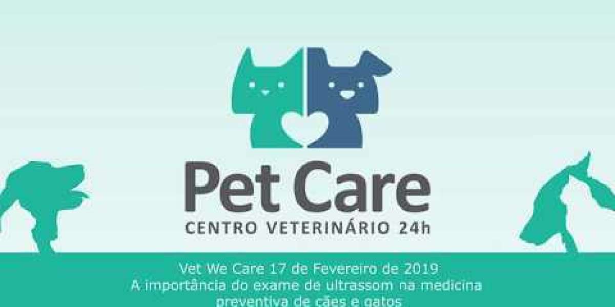 Radiografía para perros: ¿Cuánto cuesta en México?