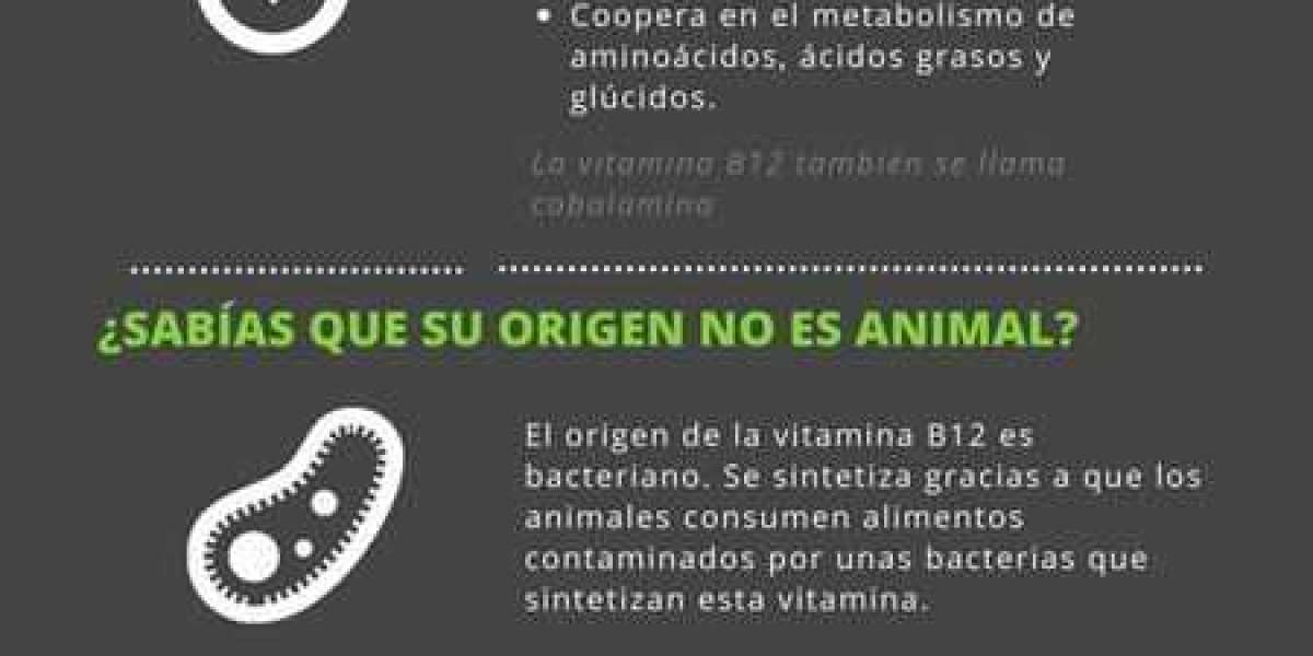 Biotina vitamina B7: veja para que serve, no cabelo, preço