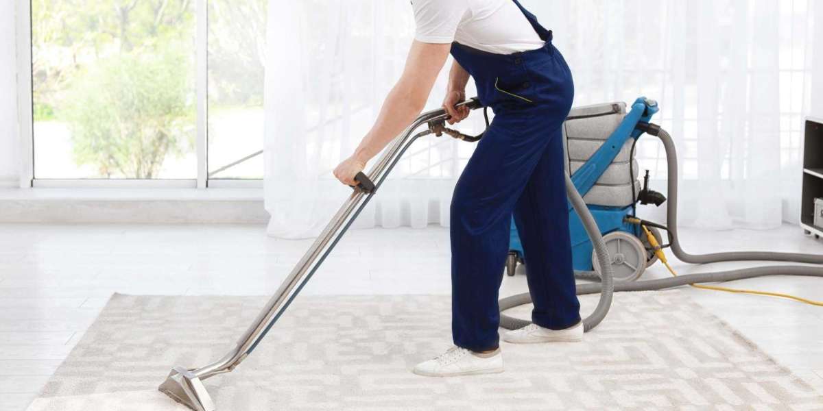 Why Every Home Needs the Deep Clean of Professional Carpet Cleaning