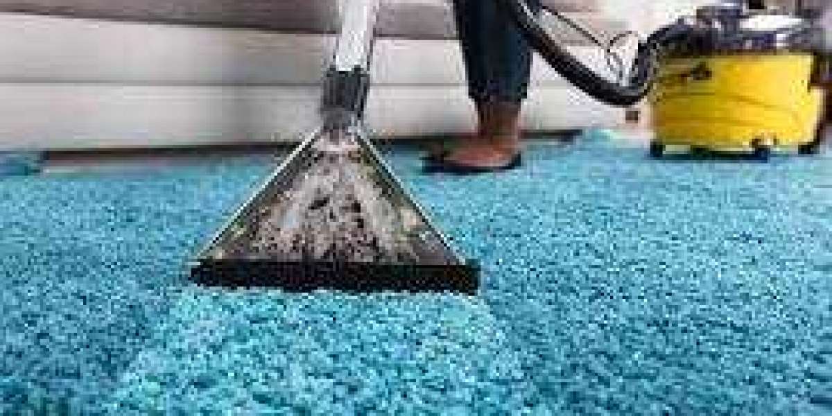 Professional Carpet Cleaning: Creating a Visually Pleasing Living Space