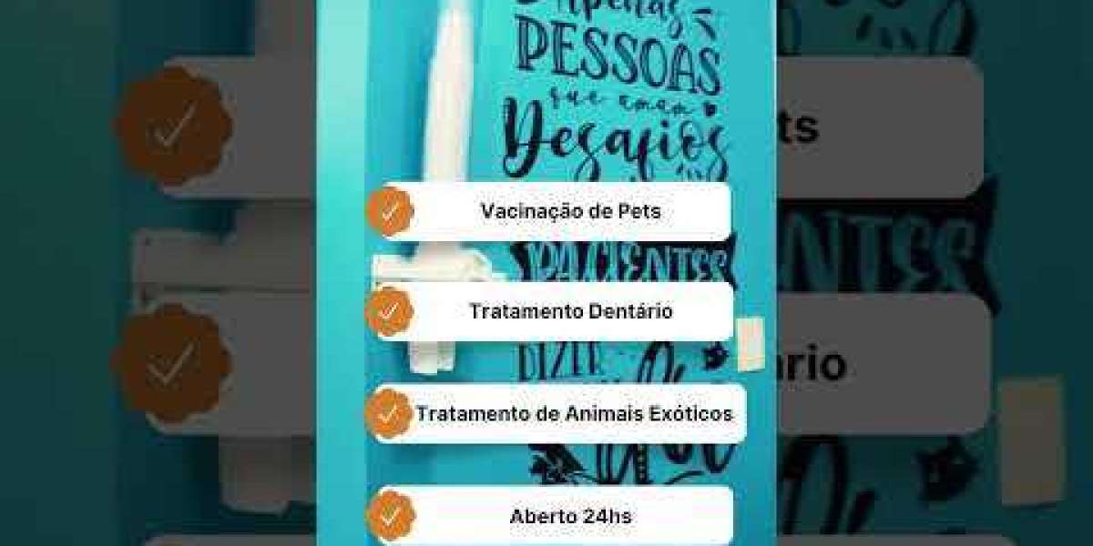 Exame de Glicemia em Gatos: Entenda a Importância do Diagnóstico Veterinário